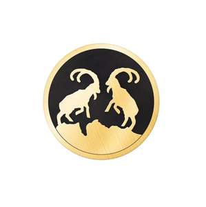 หมุดมีดโมเสคทองเหลือง - Product Image 1