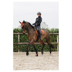 Bonnet d'oreille de cheval en crochet de qualité supérieure, fabriqué au Pakistan, léger, respirant, lavable, voile anti-mouches pour un look équestre élégant - Product Image 6