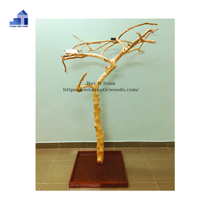 Percha de madera para pájaros con forma irregular, estilo clásico y duradero, para uso en interiores, base cuadrada, hecha en Vietnam. - Product Image 4