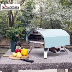 Lage Prijs Multifunctionele Ingebouwde Ovens Opvouwbare China Camping Kachel Professionele Fabrikant 450 Graden Thuis Gas Pizza Oven