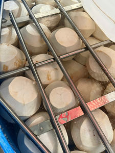 มะพร้าวน้ำหอมเวียดนาม เกรดส่งออก คุณภาพเยี่ยม จากแหล่งผลิตโดยตรง บึงเต๋อ อายุการเก็บรักษา 60 วัน - Product Image 2