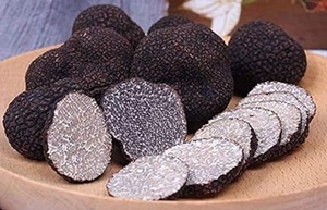 Trufa Negra Seca en Rodajas de Alta Calidad - Product Image 3