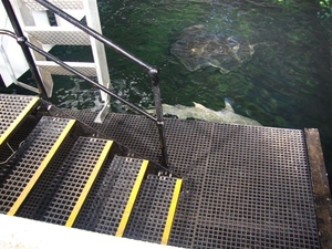 Come in Various Colors, Mesh Sizes Fiberglass Durable Plate with Slip-proof FRP Grating Low Electrical Conductivity Vietnam - Product Image 5