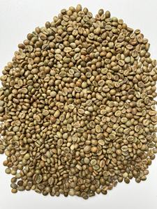Grains de café verts Robusta vietnamiens de qualité supérieure avec processus de miel de maturité 97% nouvelle récolte 2024-2025 - Product Image 2