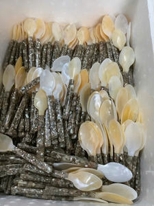 HIGH QUALITY Pearl Spoon Smoothly <b>Crafted</b> Shell Spoon Designed for Accurate Caviar Dessert Serving and Tasting Use Vietnam - Product Image 4