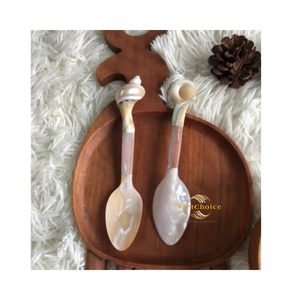 ช้อนเปลือกหอยตกแต่ง ทำจากเปลือกหอยธรรมชาติ สำหรับใช้ในครัวและบ้าน - Product Image 6