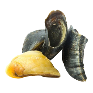 Golosinas para perros sin granos naturales de la mejor calidad, juguete masticable duradero orgánico, alternativas sostenibles de cuero crudo, pezuña de bajo precio - Product Image 6