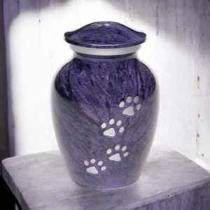 Personalized Metal <b>Pet</b> <b>Urn</b> Ascending Paw Print with Angel Wings Small Memorial <b>Casket</b> with Engraving - Product Image 2