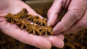 Anís estrellado seco de Vietnam, especias enteras naturales de ocho hojas aromáticas para cocinar y sazonar - Product Image 5