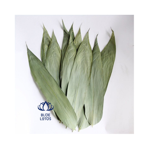 ใบไผ่แห้งราคาที่แข่งขันจากเวียดนามบัวสีฟ้าในกลุ่ม - Product Image 1