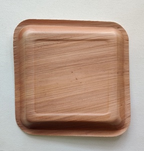 Assiettes jetables carrées en feuille de palmier biodégradables et compostables écologiques pour les fêtes, mariages et événements - Product Image 3