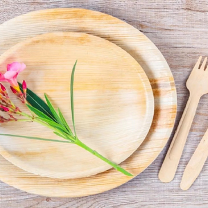 Areca Leaf PARTY plates-เครื่องใช้บนโต๊ะอาหารแบบธรรมชาติมีสไตล์และเป็นส่วนประกอบ-เหมาะสำหรับงานเฉลิมฉลอง & งานสังสรรค์ - Product Image 1