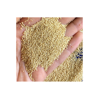 Graines d'amarante Rajgira de haute qualité, grain naturel nettoyé d'origine indienne, emballage en vrac disponible à un prix compétitif