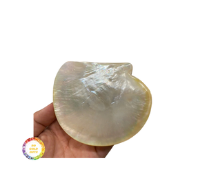 Vente en gros de nacre assiette en nacre coquillage naturel assiette en nacre polie assiette en nacre pour un repas élégant - Product Image 5