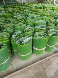 ใบห่ออาหารใบกล้วยสดใบใหญ่เป็นมิตรต่อสิ่งแวดล้อม - Product Image 3