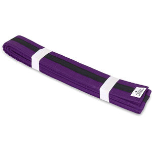 Ceintures uniformes d'art martial de logo personnalisé professionnel à vendre nouvelle arrivée ceintures de karaté unies multicolores - Product Image 5