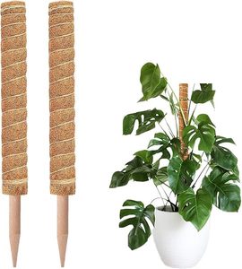 Totem de bâton de mousse de poteau artisanal de 8 à 16 pouces unique du fabricant indien Grands jardinières d'intérieur Pots de fleurs Coco Gardens - Product Image 1