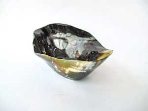 High Quality Natural Horn Serving <b>Bowl</b> <b>Set</b> Handcrafted Highly Polished for <b>Pasta</b> for Home Hotel Restaurant Directly From India - Product Image 3