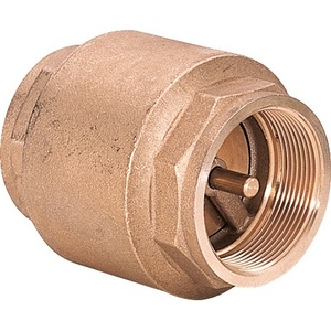 Válvula de Retención de 1 1/2 Pulgadas con Rosca BSPP/G, Válvula de Cierre de Tamaño Europeo - Product Image 1