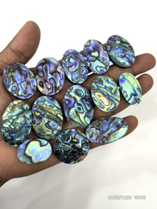 Concha de Abulón Natural, Brillo Azul Fuego, Gema Suelta, Cabujón, Forma Mixta, Tamaño Mixto, 20 a 30 mm Aprox. - Product Image 5