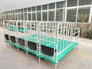 Nuevas Jaulas de Gestación ZHONGNUO ZN-250 para Cerdos y Cerdas con Corral de Gestación, 1 Año de Garantía, 880 kg de Peso, Origen XINXIANG - Product Image 6
