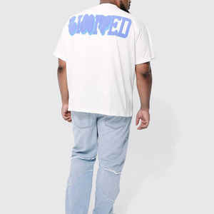 เสื้อยืดทรงปกติ คุณภาพสูง ผ้าคอตตอนเทอร์รี่ 100% สำหรับผู้ชาย MOQ ต่ำ ไซส์ใหญ่ รับสกรีนโลโก้แบบพัฟ พิมพ์ลายตามสั่ง ทรงไหล่ตก - Product Image 2