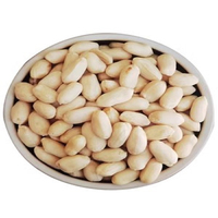 Produit de cacahuètes de qualité alimentaire séchées et grillées Cacahuètes blanchies biologiques en coquille