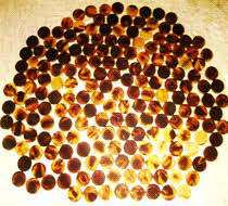 Blancs de boutons de couleur corne de boeuf pour la fabrication de chemises et de Kurta - Product Image 4