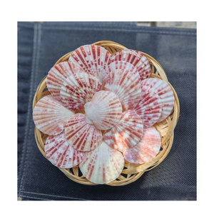 แฟลตหอยเชลล์อินทรีย์จากเวียดนามสำหรับงานฝีมือทำมือโครงการตกแต่งบ้านและโต๊ะ - Product Image 4