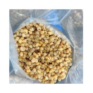 Vietnam Fresh Logan Dry Longan Sin azúcar de Vietnam Logan 100% Fresh Naturally Sweet Venta a granel a precio de fábrica - Product Image 4