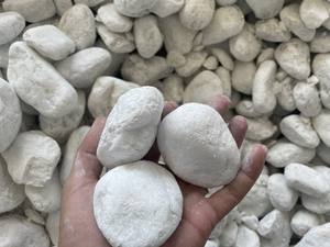 Pierres rondes de gravier blanc de galets de galets dégringolées pierre naturelle du fournisseur du Vietnam - Product Image 3