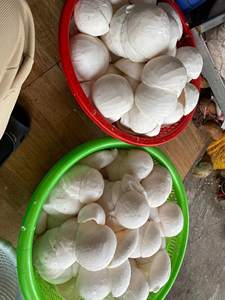 Carne de Coco Congelada, Material Utilizado para Bebidas, Coberturas, Postres, Rellenos y Preparaciones de Alimentos - Product Image 2