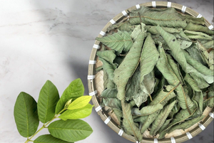 Thé de feuilles de goyave séchées de qualité supérieure, 100% naturel, thé aux herbes vietnamien, feuilles en vrac et sachets de thé compatibles - Product Image 3