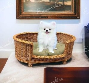 Beste Prijs Eco Vriendelijke Natuurlijke Slaap Ontspannende Rotan Dier Geweven Huisdier Gevlochten Hondenbed Handgemaakte Luxe Kat Hond Bed Voor Huisdieren - Product Image 3