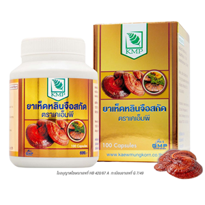 Cápsulas en polvo de extracto de Reishi de 200mg de alta calidad de la marca KMP, producto de hierbas originales, cultivo salvaje de Tailandia (100 cápsulas/caja) - Product Image 1