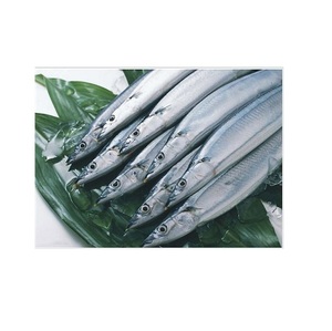 Pescado Entero Congelado Fresco con un 0.05% de Humedad Máxima y Color Plateado Natural - Product Image 1