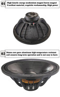 86mm 3,5 pulgadas Bobina de voz Venta caliente 15 pulgadas Subwoofer Pro altavoz Line Array altavoz China Woofer precio N15D86