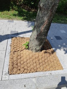 Esteras de fibra de coco-Elección ecológica - Product Image 5