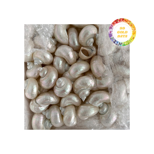 Anneaux de serviette en coquille fabriqués à la main de haute qualité pièces de table élégantes durables polies pour les environnements d'accueil haut de gamme - Product Image 1