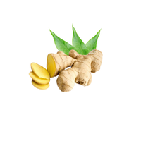 Gingembre-Un aliment polyvalent pour chaque cuisine