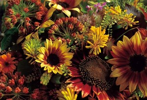 Venta al por mayor SBSKLtd. Hermoso diseño Terapia para adultos Arte Decoración Libros Jeux De Fleurs-Juego de flores Precio razonable - Product Image 4