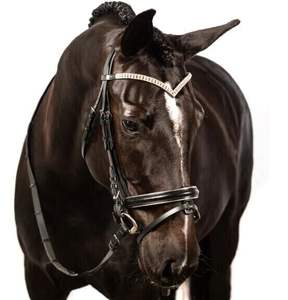 Caballo ANATOMICA CRISTAL Brida BEBÉ AZUL LUZ ZAFIRO BLING GLISTEN Forma Curva - Product Image 4