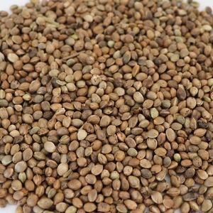 Proveedor de Semillas de Cáñamo Orgánicas al por Mayor Semillas de Cáñamo Naturales - Product Image 5