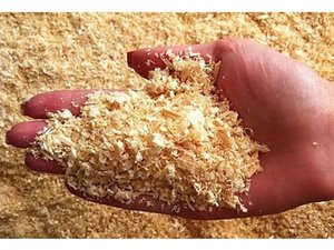 Astillas de madera de eucalipto de alta calidad, precio barato de madera mezclada al por mayor para agricultores, ganado, producto de desecho agrícola - Product Image 6