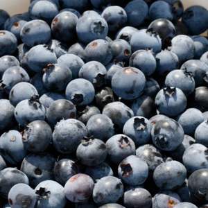 Arándanos Frescos de Calidad, Deliciosos Frutos de Arándanos Naturales - Calidad Premium - Suministro a Granel - Product Image 3