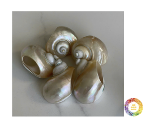 Porte-serviettes en coquille de mer marron doré en spirale pour décor de table de mariage côtier élégant - Product Image 5
