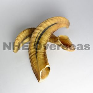 Le chien en corne de bélier naturelle de qualité supérieure mâche des friandises sûres durables et saines pour tous les chiens par NHE Overseas - Product Image 3