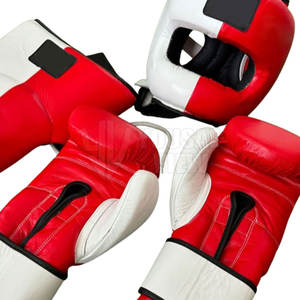 Conjunto de Boxeo por encargo Kit de boxeo de alta calidad más vendido Conjuntos ganadores de entrenamiento profesional - Product Image 1