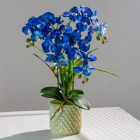Orchidée Phalaenopsis artificielle réaliste faite à la main, plante en pot, fleur en soie blanche, pot en céramique, décoration de table pour la maison ou le bureau