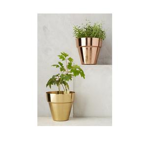 Jardinière décorative élégante dorée, idéale pour les jardins d'herbes, les plantes potagères ou les fleurs ornementales sur les balcons et les patios - Product Image 4